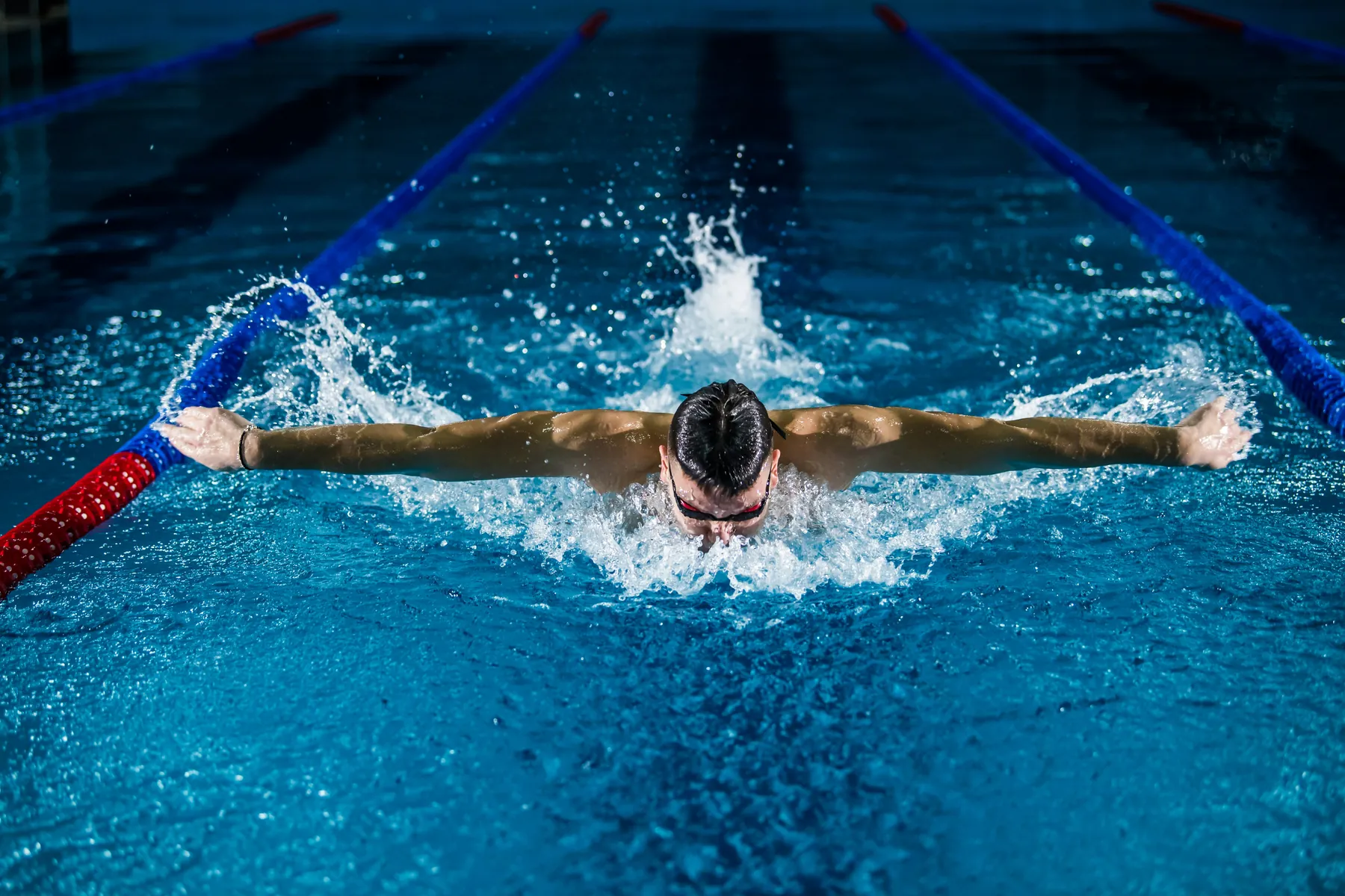 Schwimmer beim Training im Becken